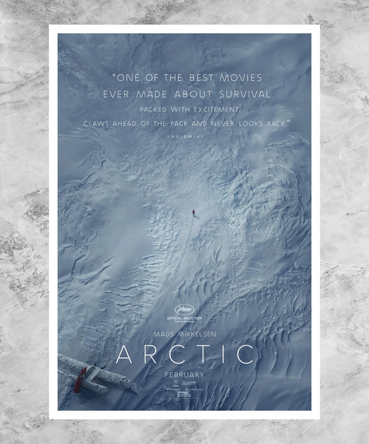 Arctic Poster