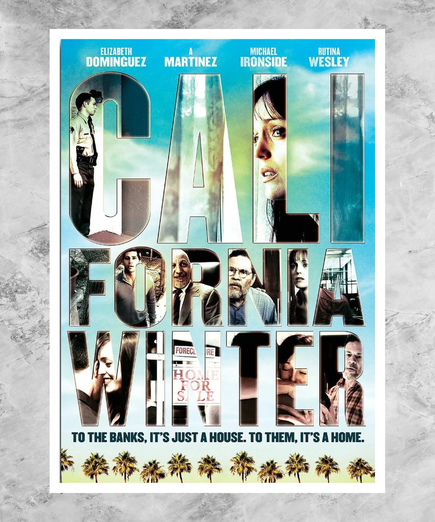 California Winter Poster