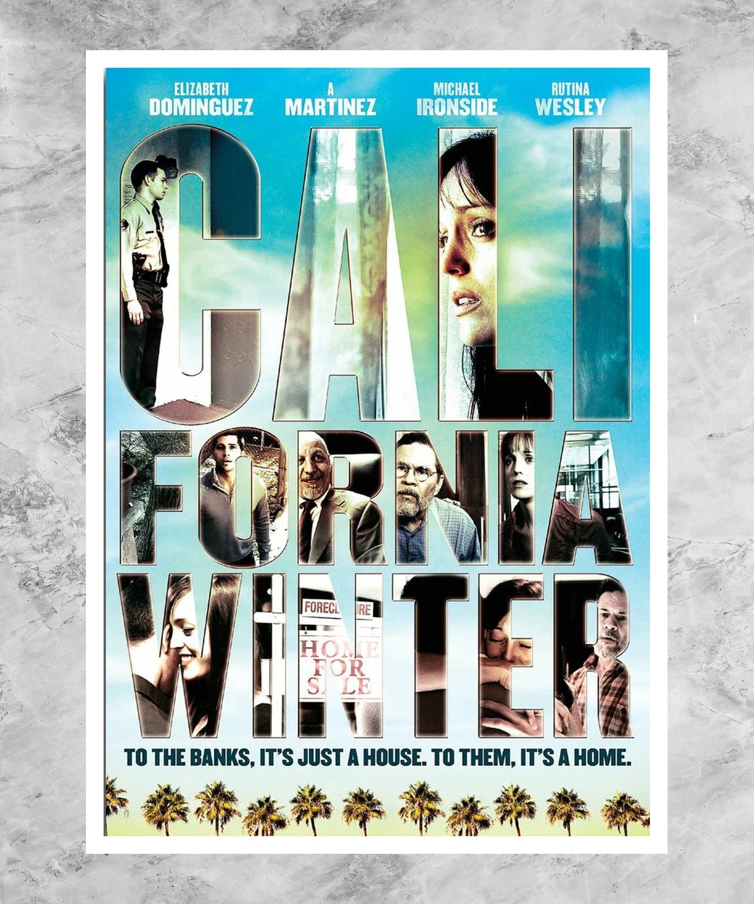California Winter Poster