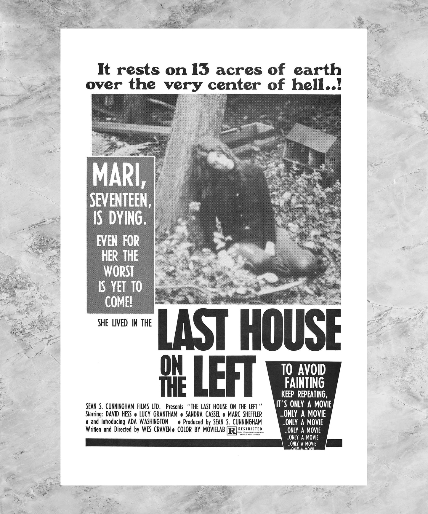 The Last House on the Left Poster