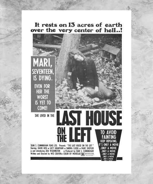 The Last House on the Left Poster